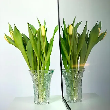 Apartment Barolinke Pula