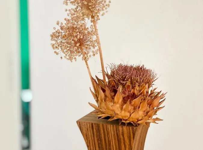 Appartement Barolinke Pula