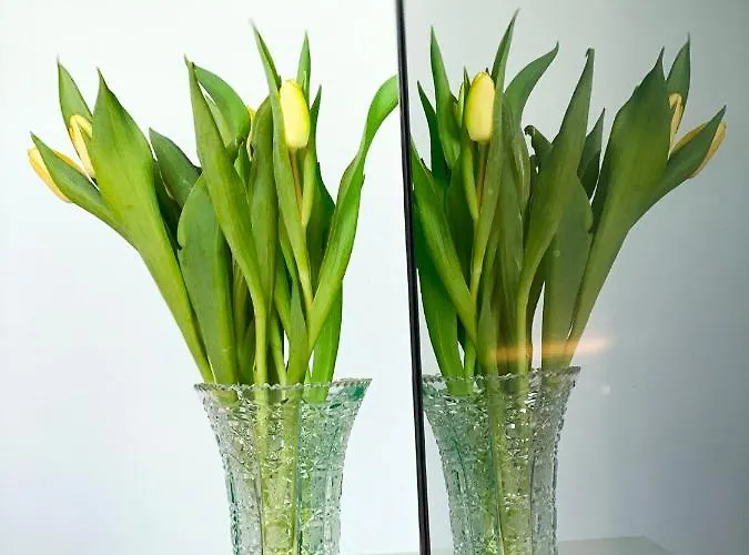 Apartment Barolinke Pula